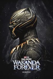 Chiến Binh Báo Đen 2: Wakanda Bất Diệt