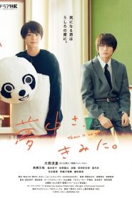 Tôi Kết Cậu Rồi Đấy (Live action)